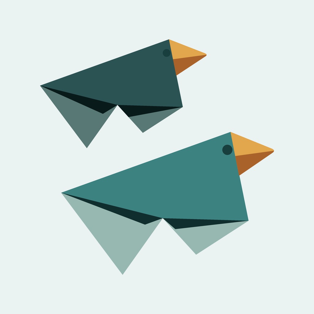 Duva flock icon